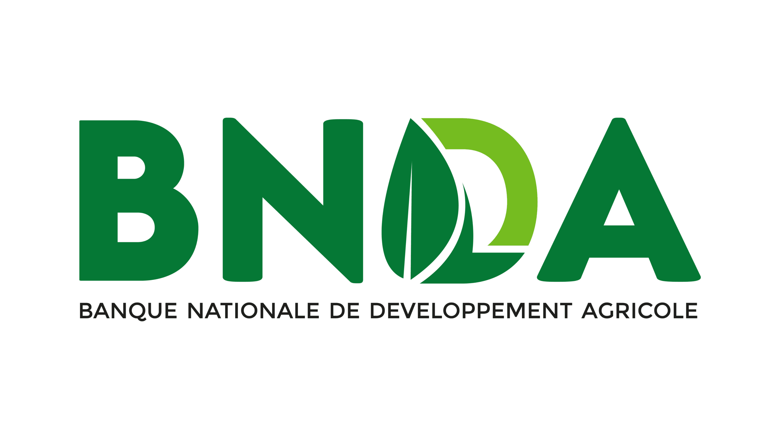 Logo BNDA